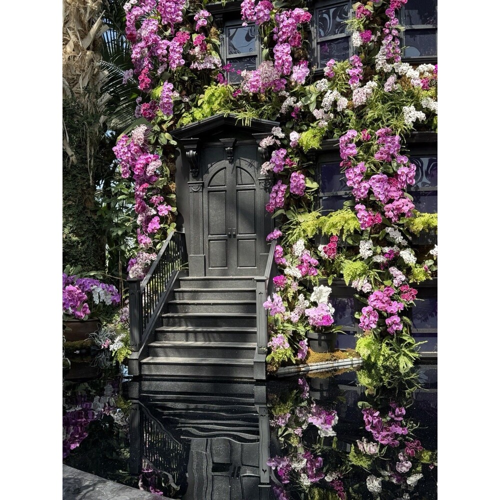 Ana Inciardi Mini Print NYBG Conservatory 2026 Orchid Show Exclusive - Picture 6 of 7